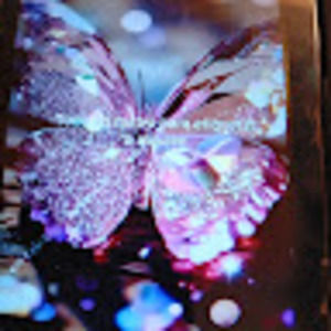 Meet your Posher, Ivette